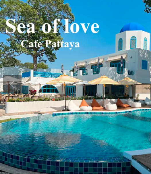 Sea of love Pattaya คาเฟ่เปิดใหม่ของแอน ทองประสม